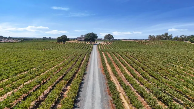 a view of a flower pot with wooden floor