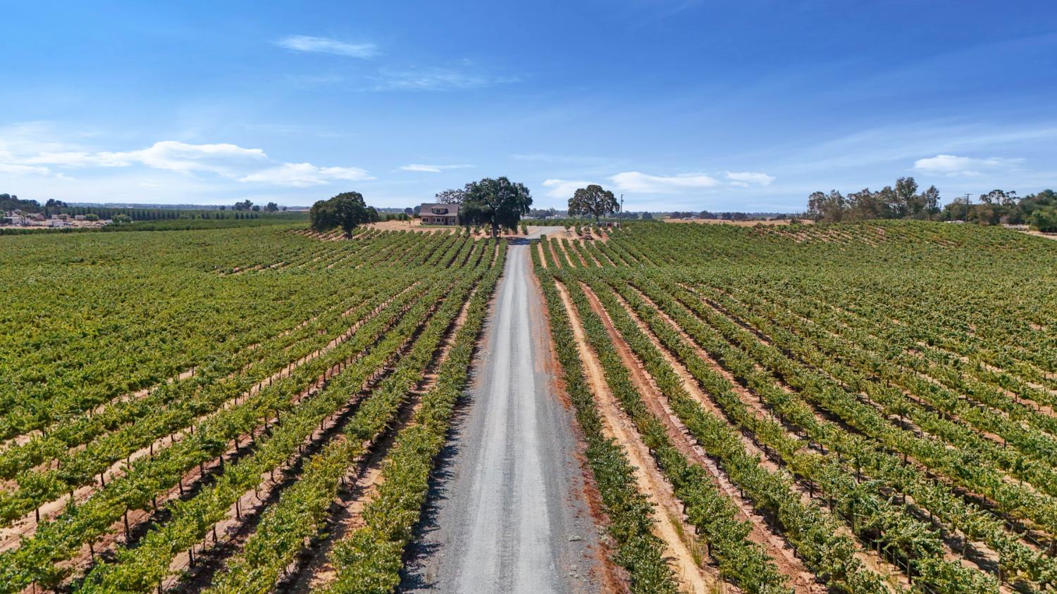 18739 Clements Road Lodi, CA 95240 - Photo 32 of 39 a view of a city