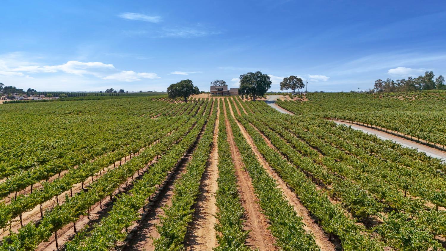 18739 Clements Road Lodi, CA 95240 - Photo 33 of 39