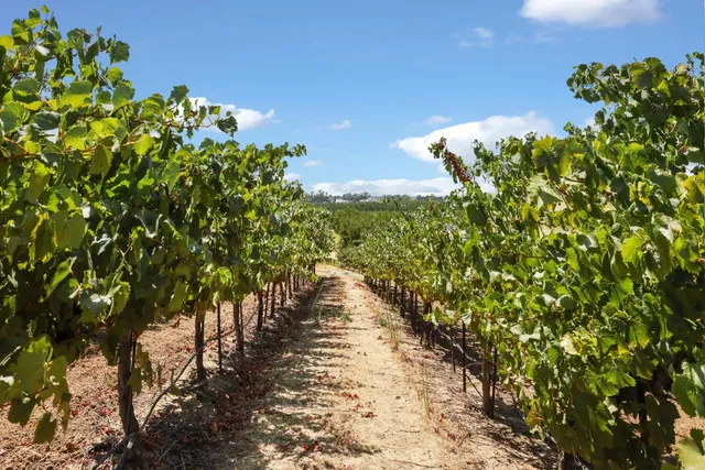 a view of a chairs and table in backyard