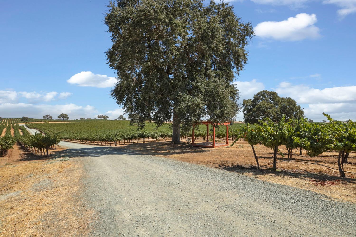 18739 Clements Road Lodi, CA 95240 - Photo 37 of 39 a view of a street