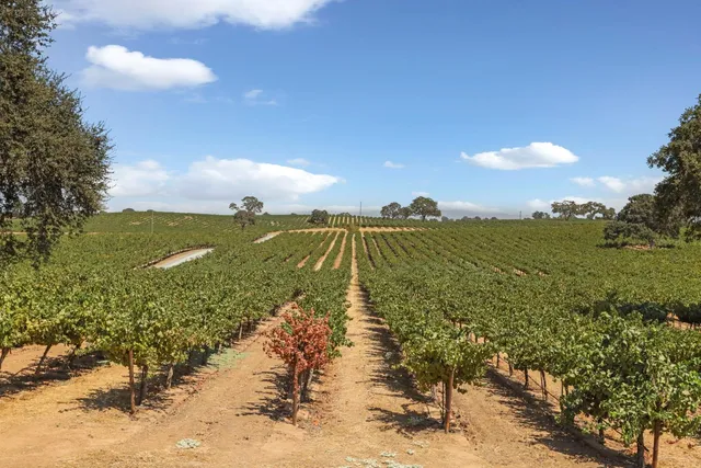 $1,495,000 | 18739 Clements Road, Lodi, CA 95240