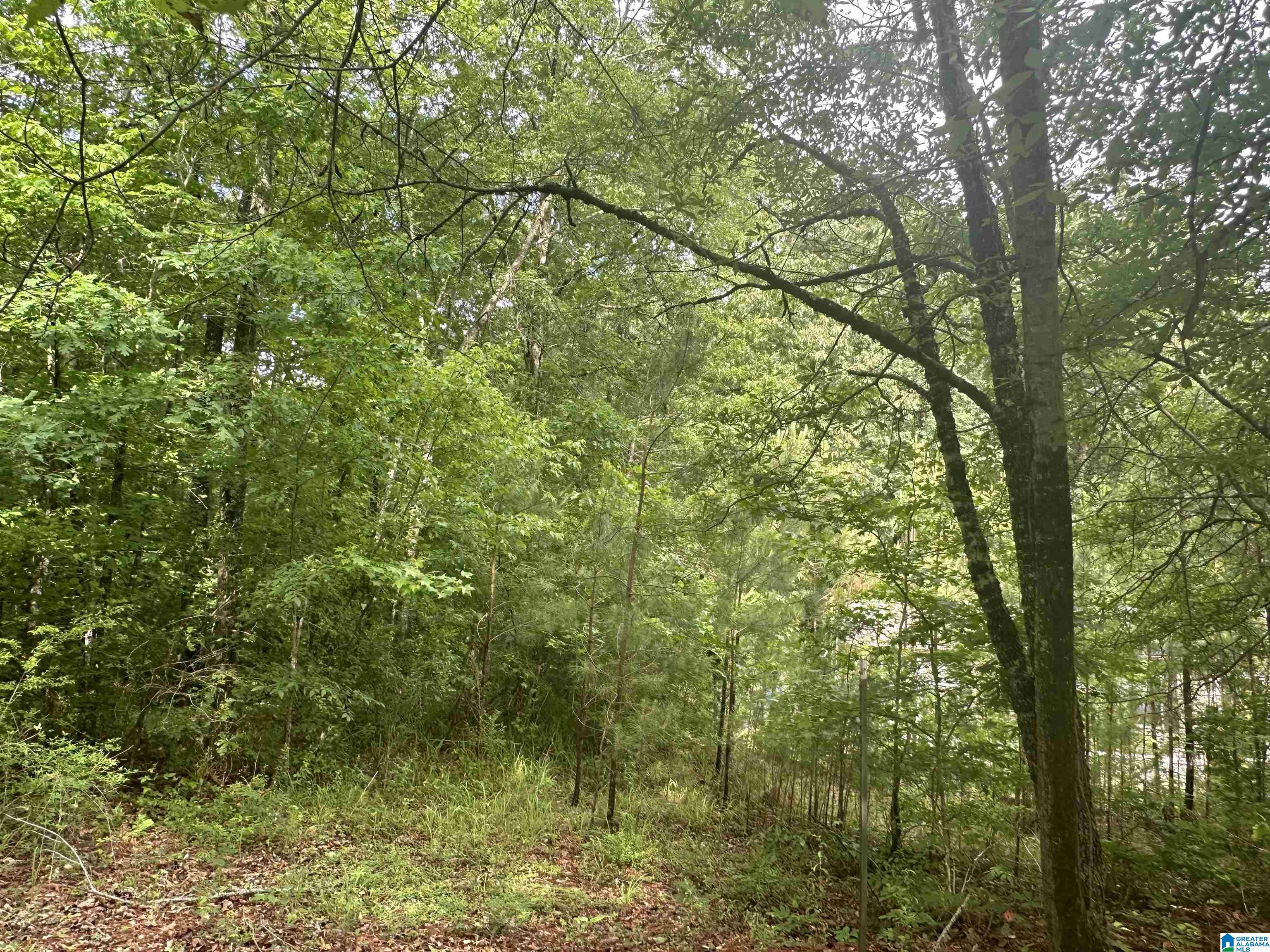 3098 McClendon Chapel Road Bessemer, AL 35022 - Photo 7 of 16