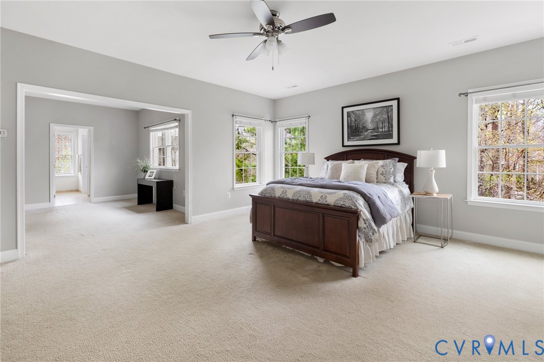 16400 Orchard Tavern Place Moseley, VA 23120 - Photo 25 of 45