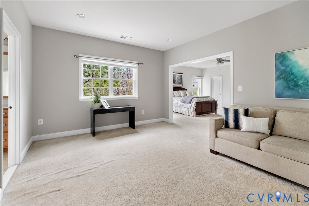 16400 Orchard Tavern Place Moseley, VA 23120 - Photo 28 of 45