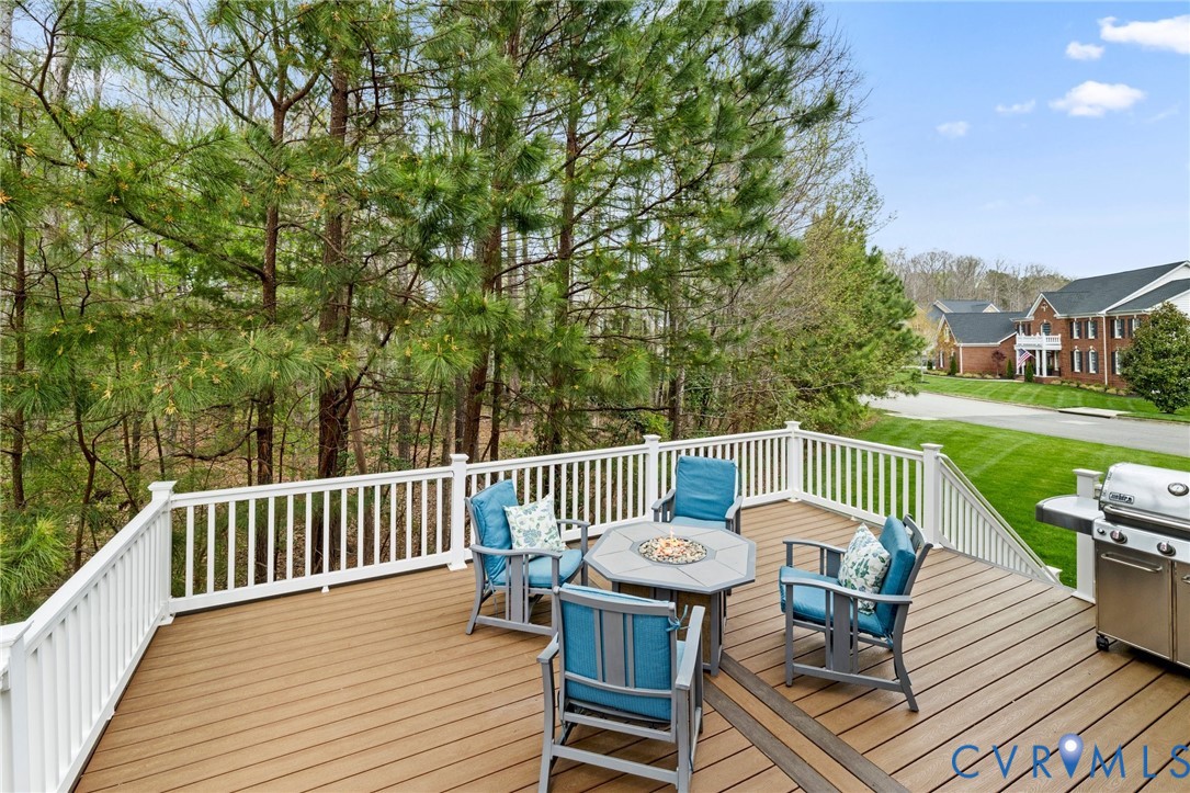 16400 Orchard Tavern Place Moseley, VA 23120 - Photo 41 of 45