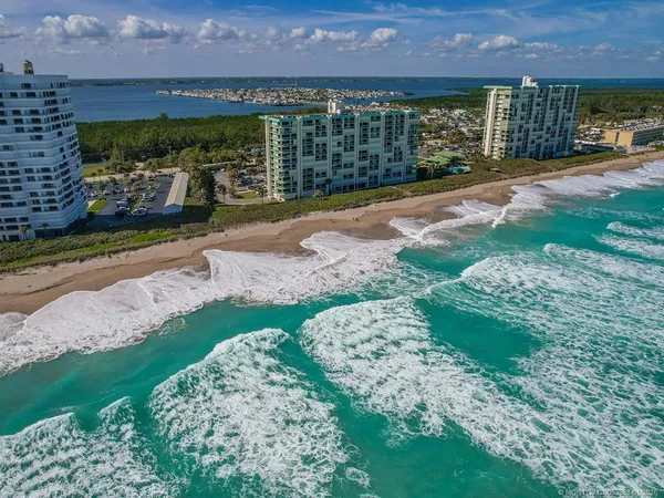 a view of a garden with a building in the background