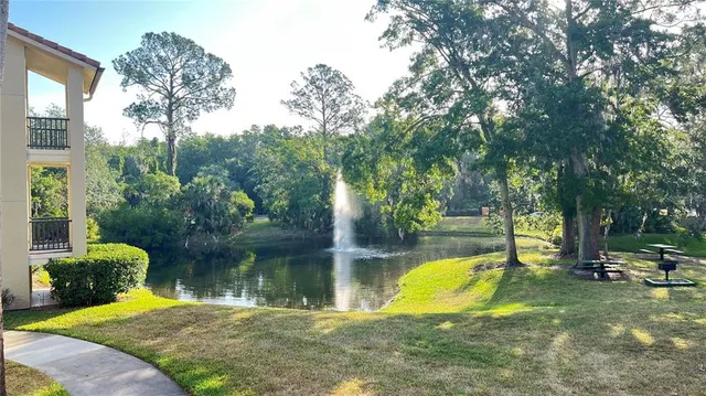 a view of a swimming pool with a backyard