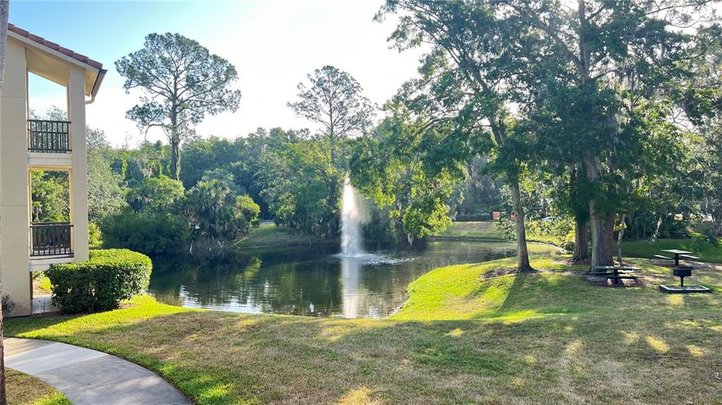 3038 Parkway Boulevard, Unit 204 Kissimmee, FL 34747 - Photo 5 of 31 a view of a swimming pool with a backyard