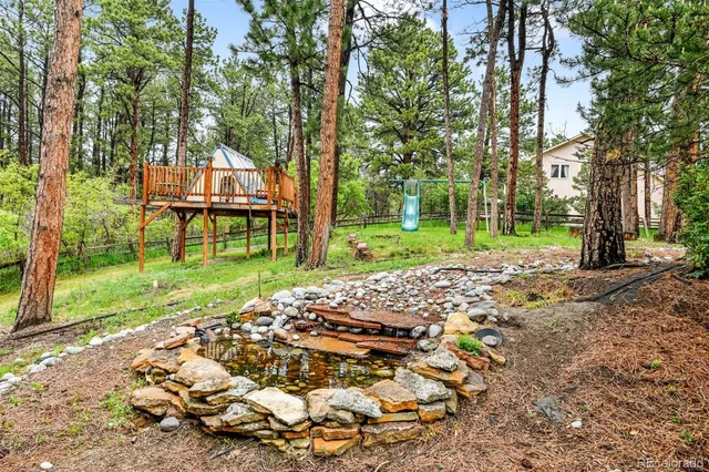 a view of a park with large trees
