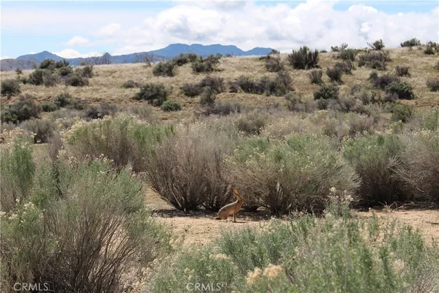 $950,000 | 1790 South Kelso Road, Weldon, CA 93283