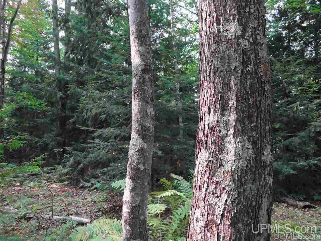Tbd Freda Road, Unit PARCEL F Atlantic Mine, MI 49905 - Photo 12 of 12