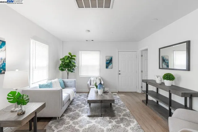 a living room with furniture and a potted plant