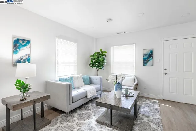 a living room with furniture and a potted plant