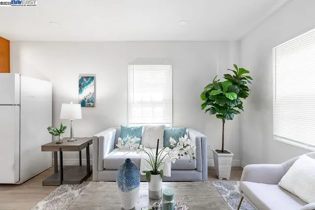 a living room with furniture potted plant and a window