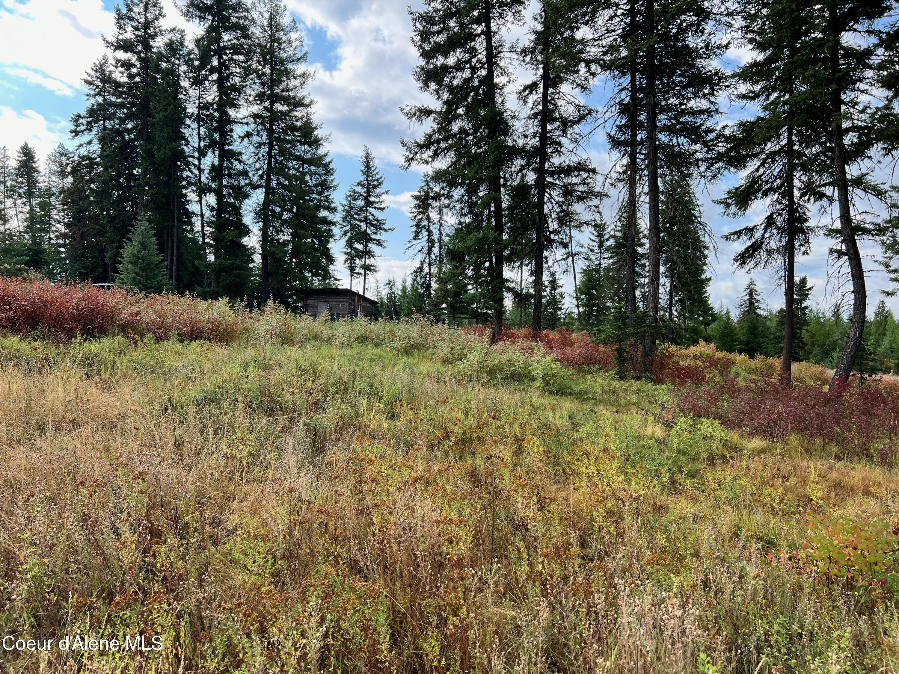 5100 Hallmark Road St. Maries, ID 83861 - Photo 18 of 20 IMG_5918