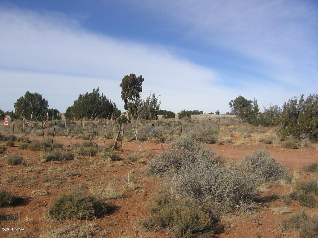 18 Section Overgaard, AZ 85933 - Photo 11 of 19
