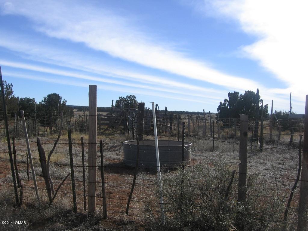 18 Section Overgaard, AZ 85933 - Photo 12 of 19