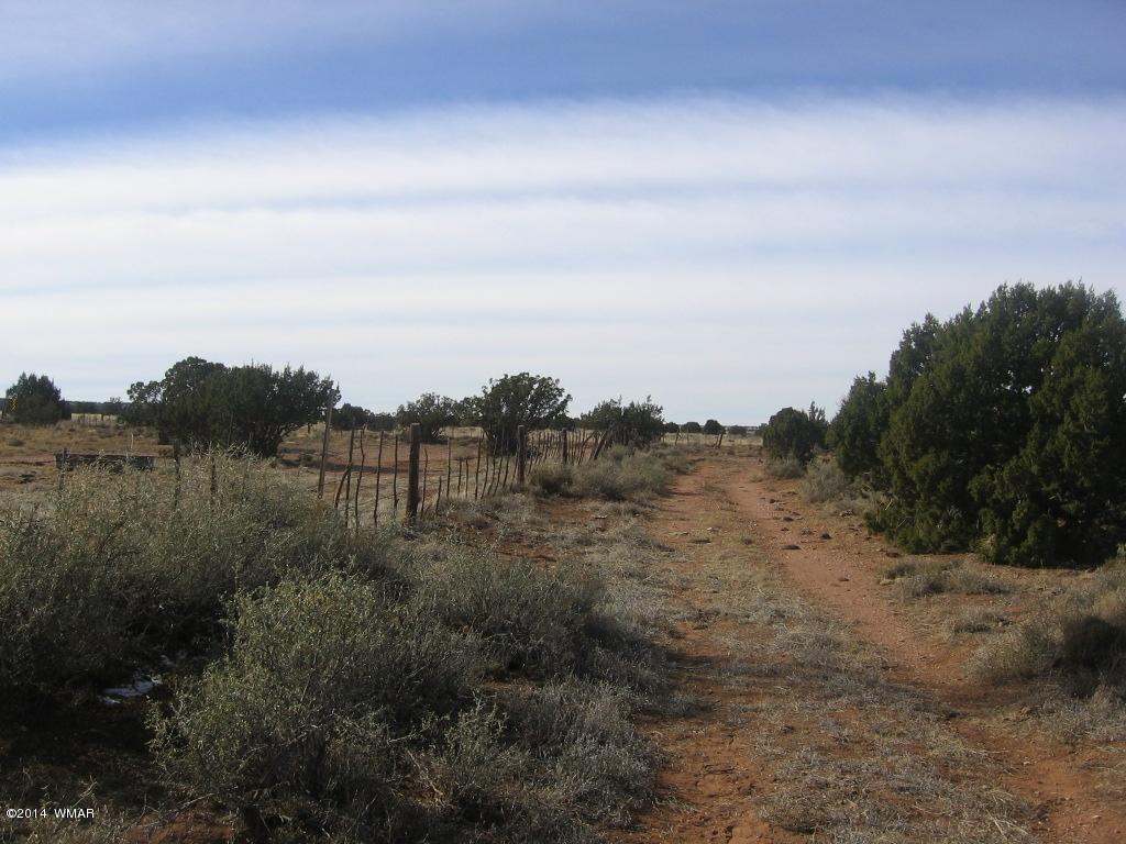 18 Section Overgaard, AZ 85933 - Photo 13 of 19