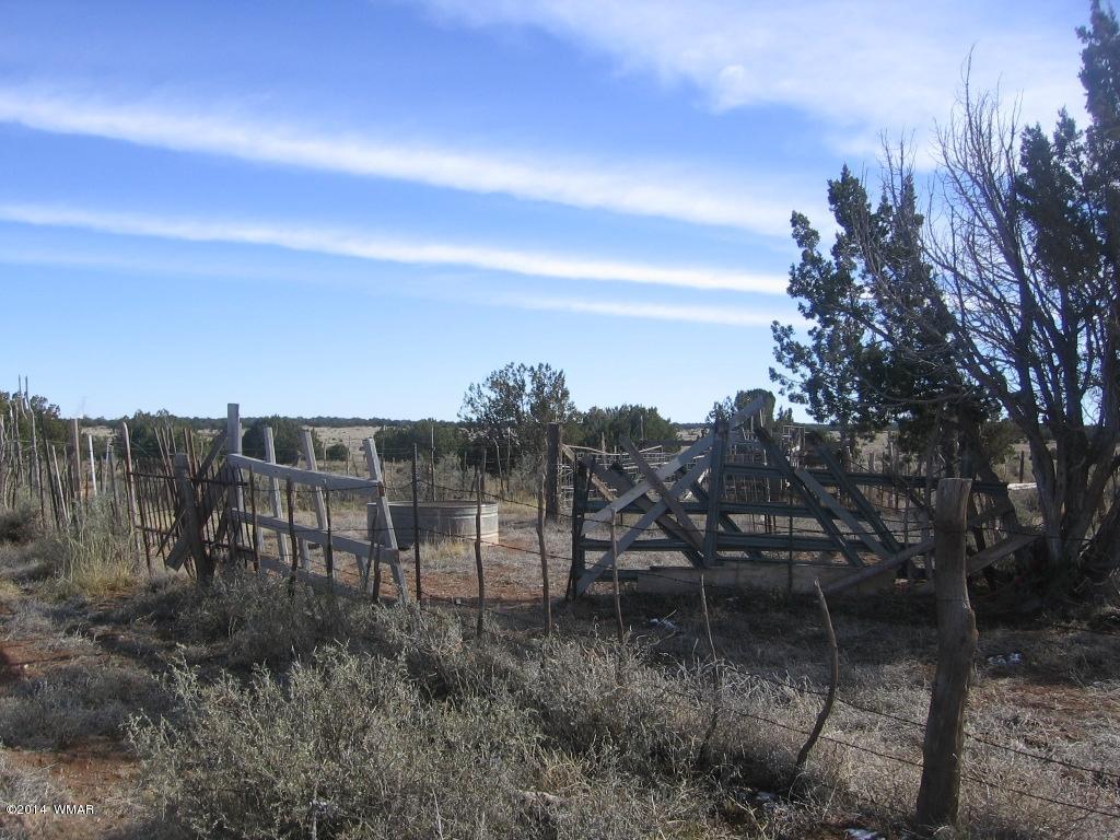 18 Section Overgaard, AZ 85933 - Photo 14 of 19