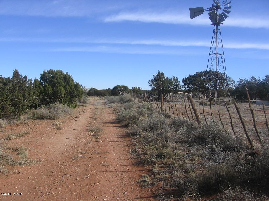 18 Section Overgaard, AZ 85933 - Photo 15 of 19