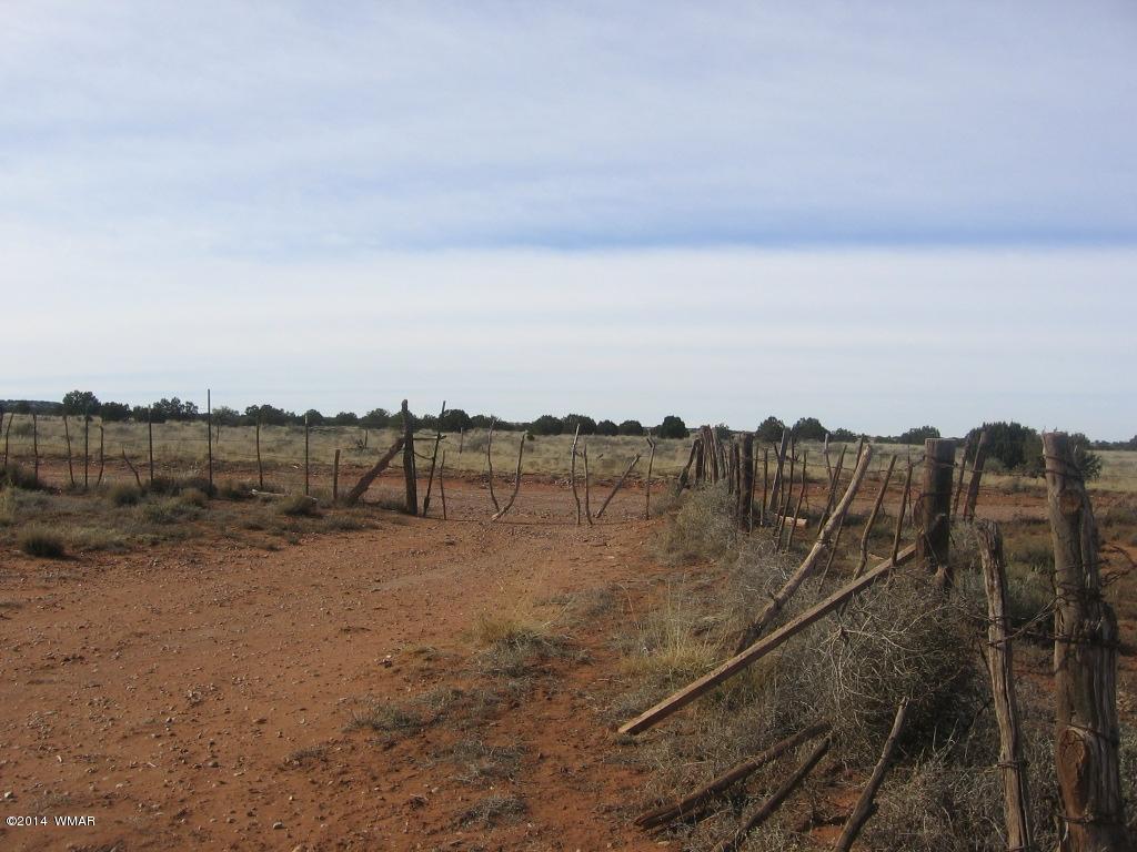 18 Section Overgaard, AZ 85933 - Photo 16 of 19