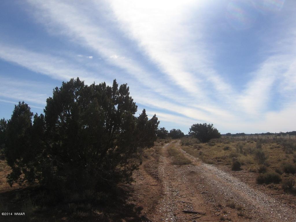 18 Section Overgaard, AZ 85933 - Photo 17 of 19