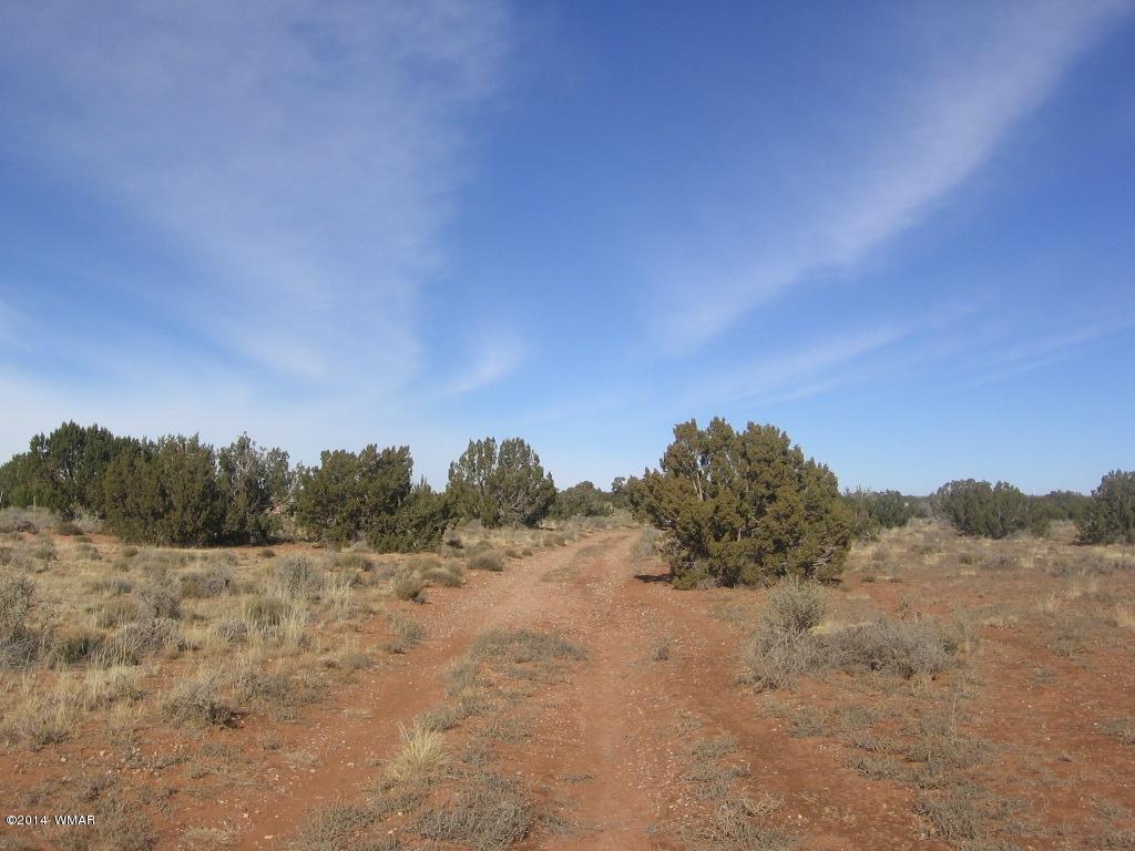18 Section Overgaard, AZ 85933 - Photo 18 of 19