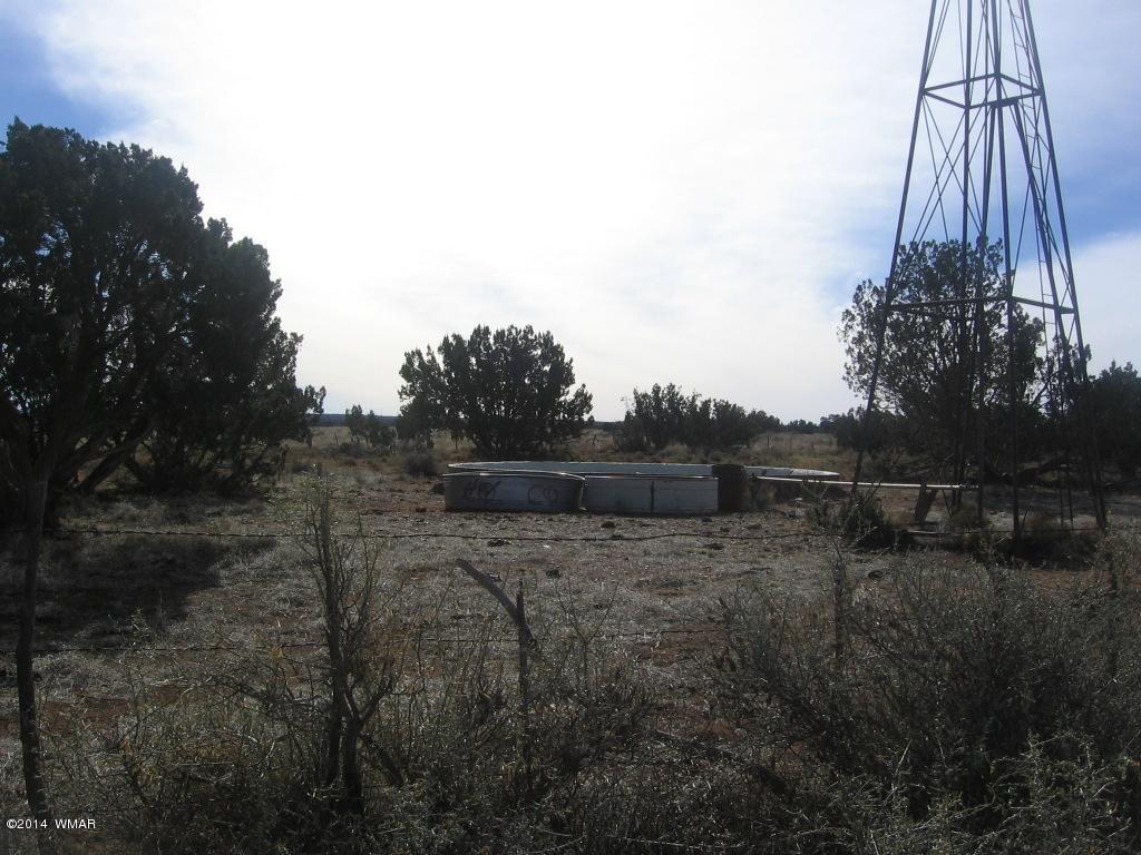 18 Section Overgaard, AZ 85933 - Photo 19 of 19