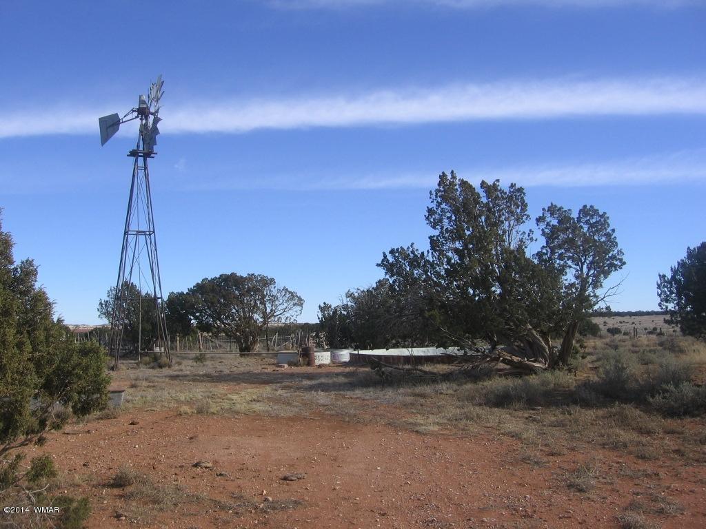 18 Section Overgaard, AZ 85933 - Photo 3 of 19