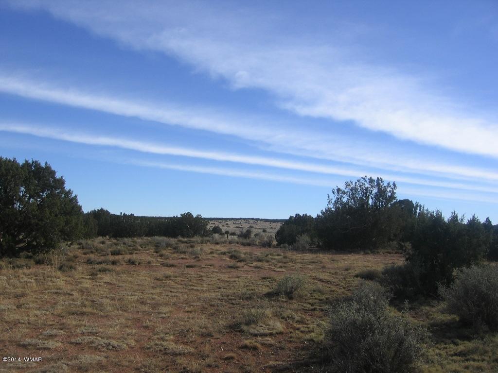 18 Section Overgaard, AZ 85933 - Photo 4 of 19