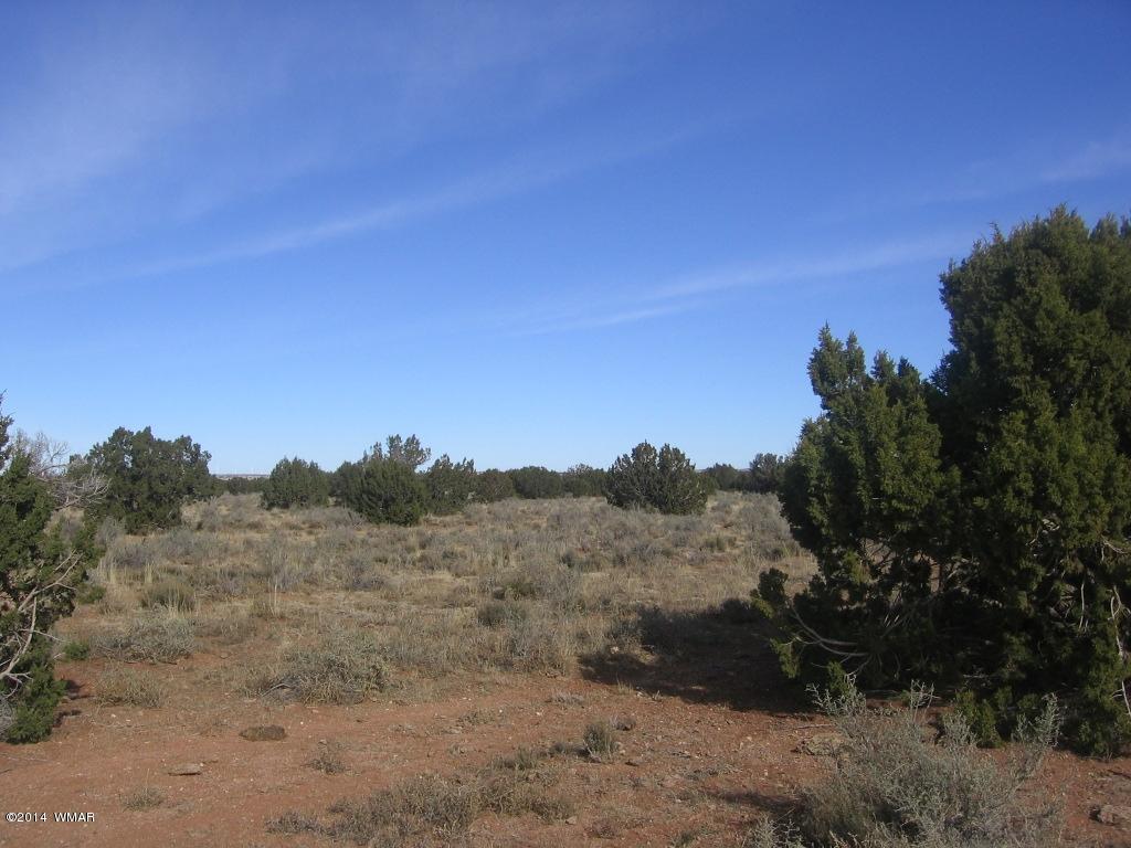 18 Section Overgaard, AZ 85933 - Photo 5 of 19