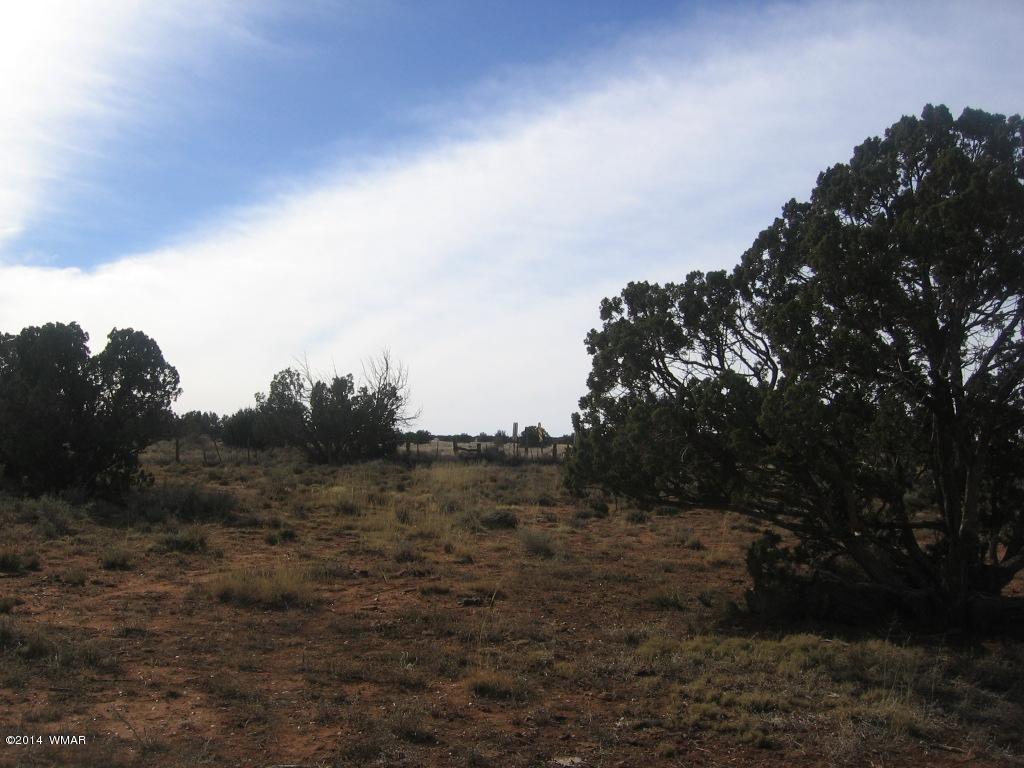 18 Section Overgaard, AZ 85933 - Photo 6 of 19