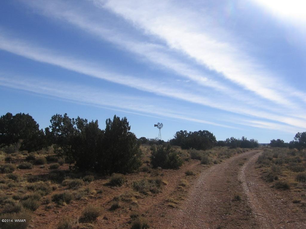 18 Section Overgaard, AZ 85933 - Photo 7 of 19