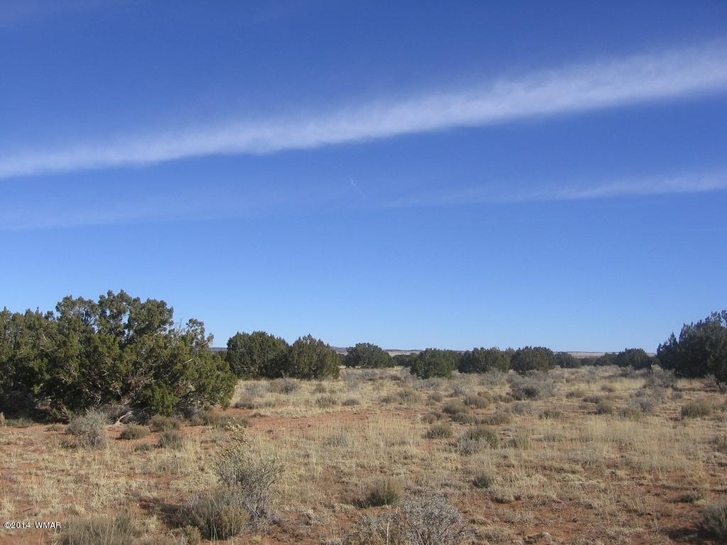 18 Section Overgaard, AZ 85933 - Photo 8 of 19