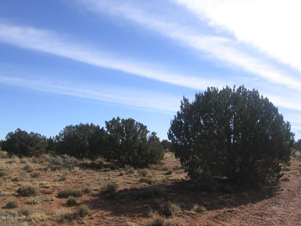 18 Section Overgaard, AZ 85933 - Photo 9 of 19