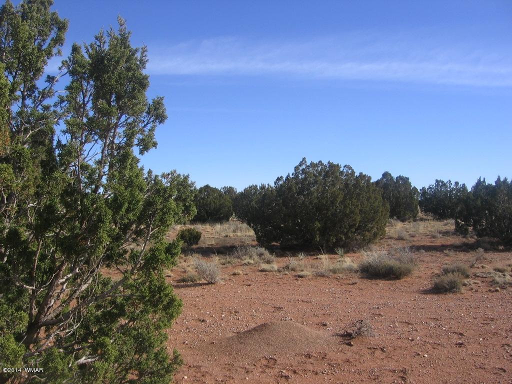 18 Section Overgaard, AZ 85933 - Photo 10 of 19