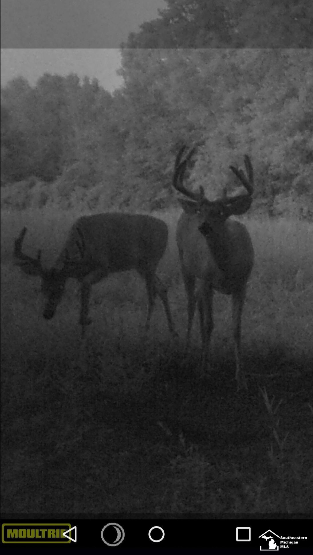 Stewart Road Road Monroe, MI 48161 - Photo 3 of 4