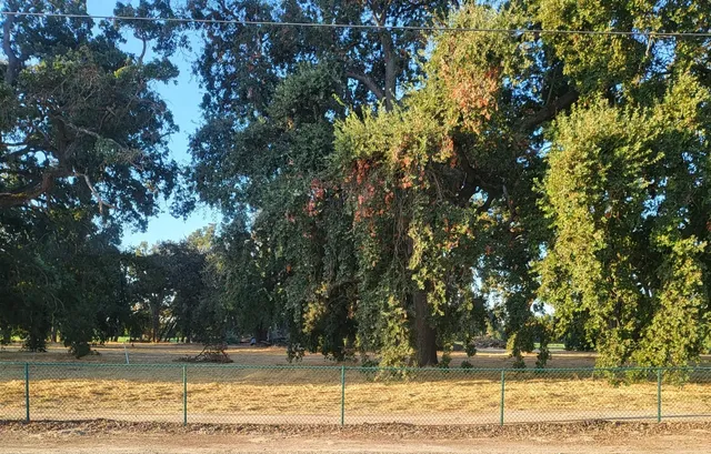 $199,000 | 278 Lee Road, Nicolaus, CA 95659