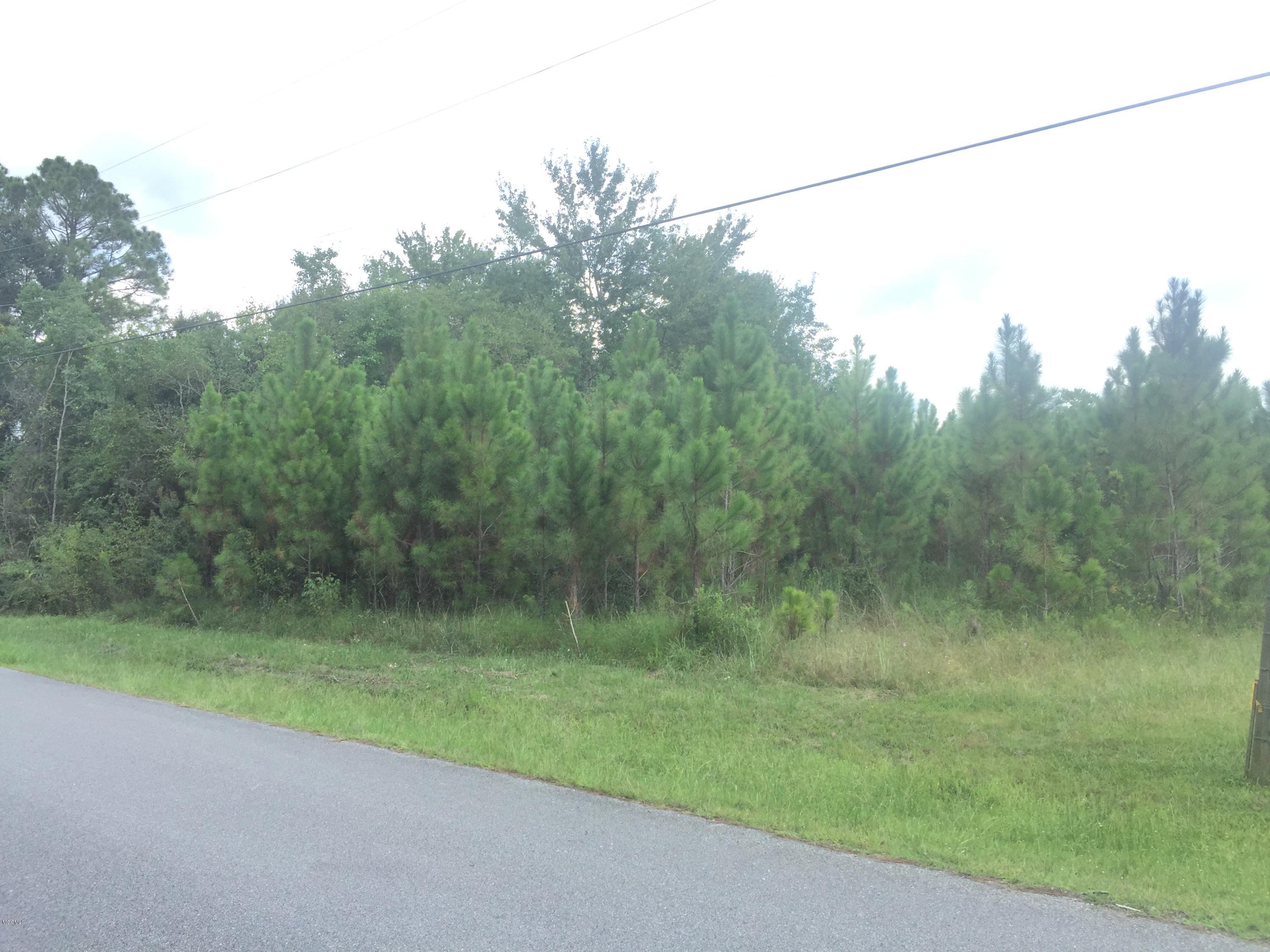 0 Robert Walker Road Vancleave, MS 39565 - Photo 1 of 1 Road Frontage