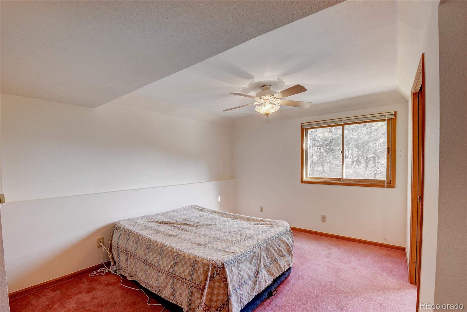 15446 Pine Valley Road Pine, CO 80470 - Photo 26 of 35 Gallery Image 26
