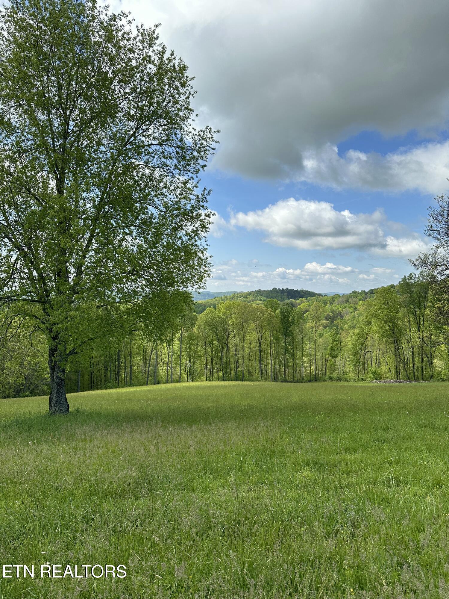 447 Walker Road Sharps Chapel, TN 37866 - Photo 27 of 60 IMG_0398