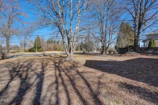 a view of dirt yard with a large tree