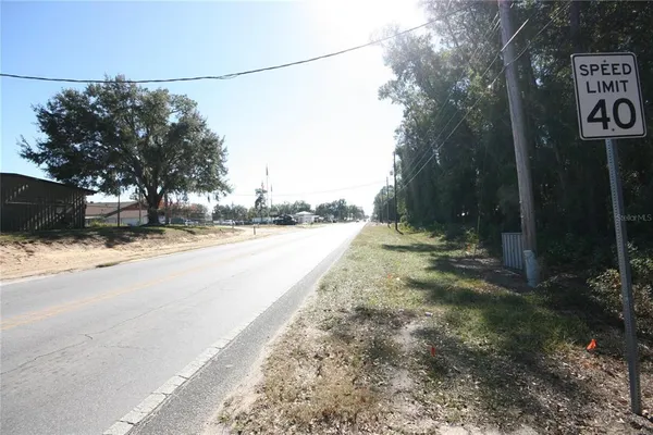 a view of a park that has large trees