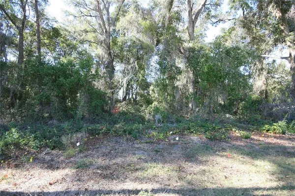 a view of outdoor space with trees