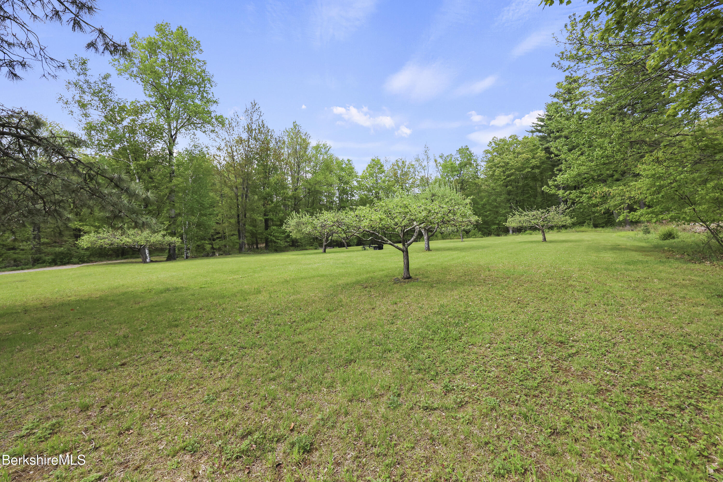 924 Henderson Road Williamstown, MA 01267 - Photo 29 of 51 Orchard