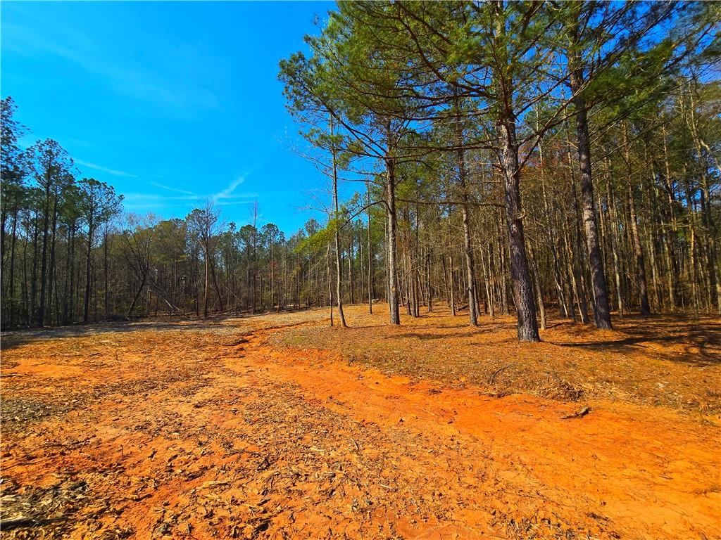 2001 Rocky Creek Road Mansfield, GA 30055 - Photo 17 of 60