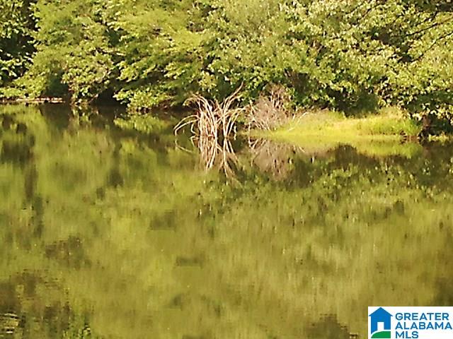 Sycamore Road, Unit 125 Columbiana, AL 35051 - Photo 6 of 14