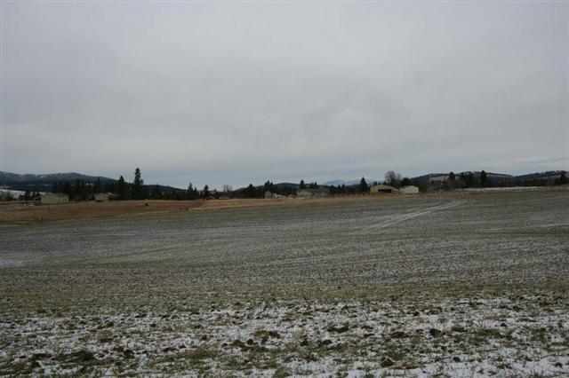 12001 East Rinear (approx ) Road Valleyford, WA 99036 - Photo 14 of 14