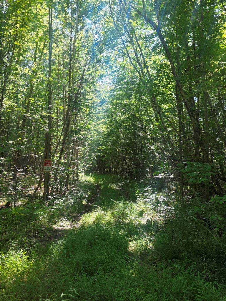 Black Ash Road Addison, NY 14801 - Photo 2 of 9 Gallery Image 2